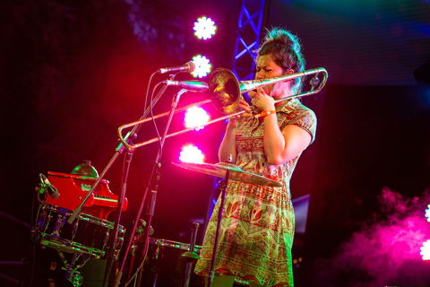 Agnes Blues, Roots And Rock Festival - Tourism Canberra 2