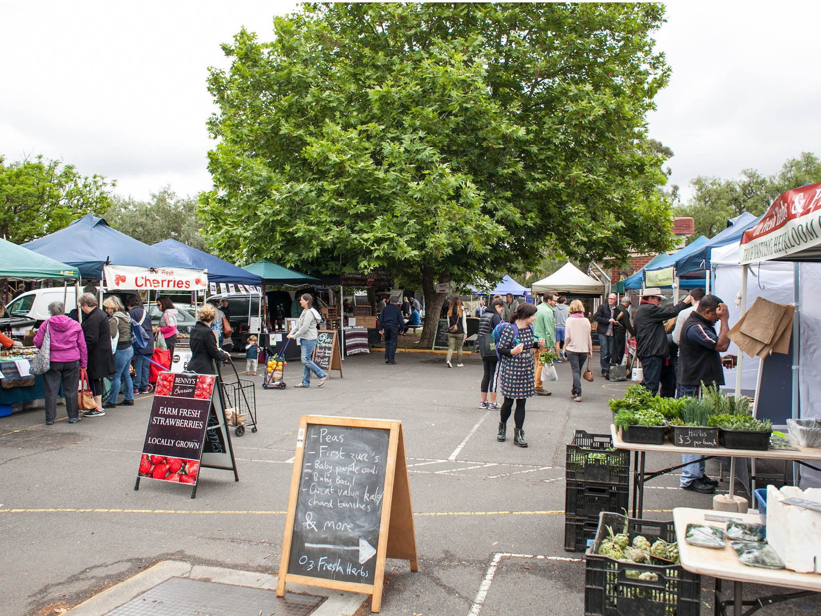 Alphington VIC Tourism Canberra