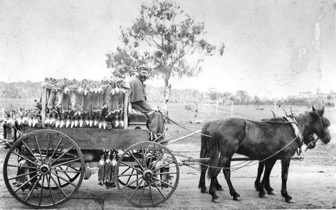 A Tale Of Two Villages - An Exhibition - Tourism Canberra 1