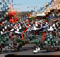 Australian Celtic Festival - Tourism Canberra