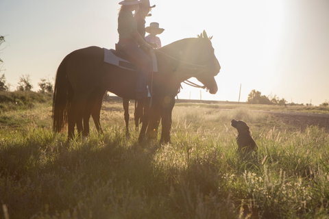Balonne Cutting Horse Futurity - Tourism Canberra 0