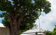 Cardwell Pioneers Tour - thumb 1
