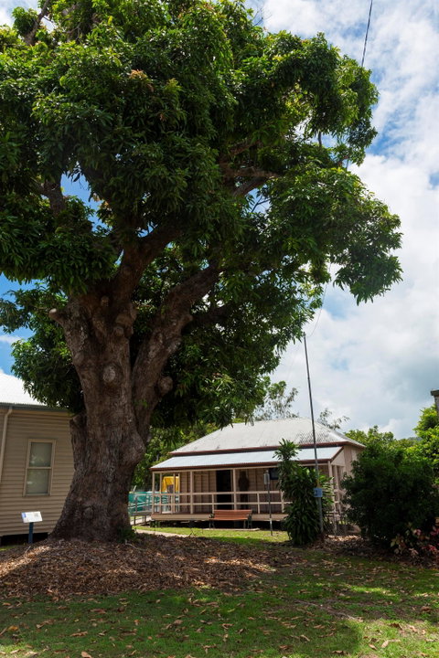 Cardwell Pioneers Tour - Tourism Canberra 1