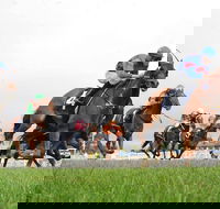 Christmas Cup Race Day - Tourism Canberra