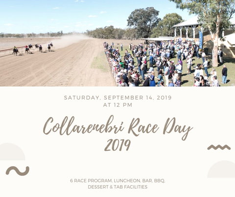 Collarenebri Races - Tourism Canberra 0