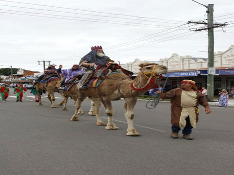 Dowling Street Christmas Party - Tourism Canberra 0
