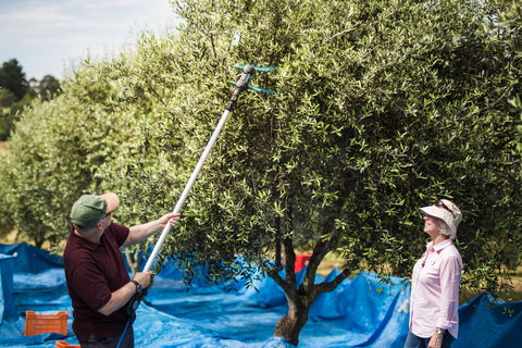 Farmgate Festival - Tourism Canberra 2