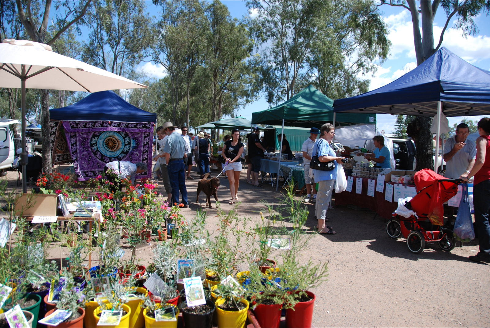 Fernvale QLD Tourism Canberra