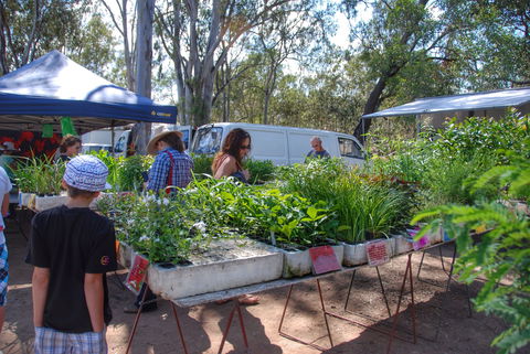 Fernvale Country Markets - Tourism Canberra 1