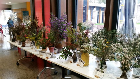 Grampians Wildflower Show - Tourism Canberra 0