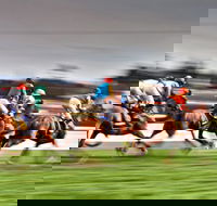 Grafton July Racing Carnival - Tourism Canberra