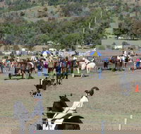 Gresford Agricultural Show - Tourism Canberra