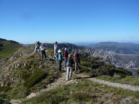 Hedonistic Hiking's Falls Creek To Hotham - Tourism Canberra 1