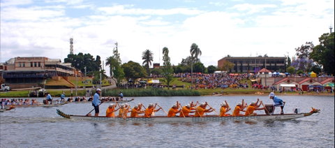 Jacaranda Dragon Boat Races - Tourism Canberra 0