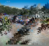 JetBlack Wild Wombat MTB Challenge - Tourism Canberra