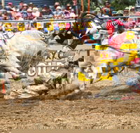Jindabyne's Man From Snowy River Rodeo - Tourism Canberra