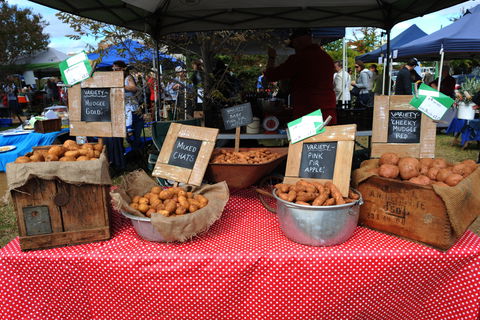 Lawson Park Markets - Tourism Canberra 0