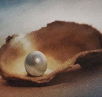 Lecture Cancelled  ADFAS  Lecture Half-Day - Patricia Law speaking on Pearls and Diamonds - Tourism Canberra