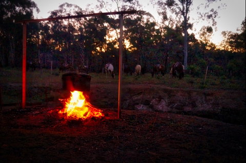Night Horse Ride And Dinner - Tourism Canberra 2