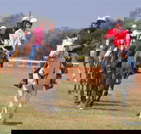 Pride of the West Races 2020 - Tourism Canberra