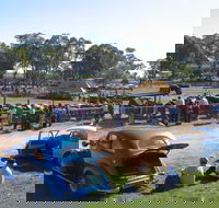 Quirindi Rural Heritage Village - Vintage Machinery and Miniature Railway Rally and Swap Meet - Tourism Canberra
