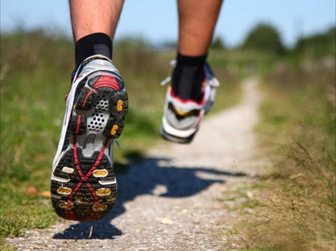 Run Dungog - Tourism Canberra 1