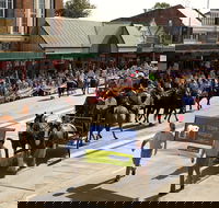 Scone Horse Festival - Tourism Canberra