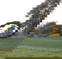 SculptureShaw - Tourism Canberra