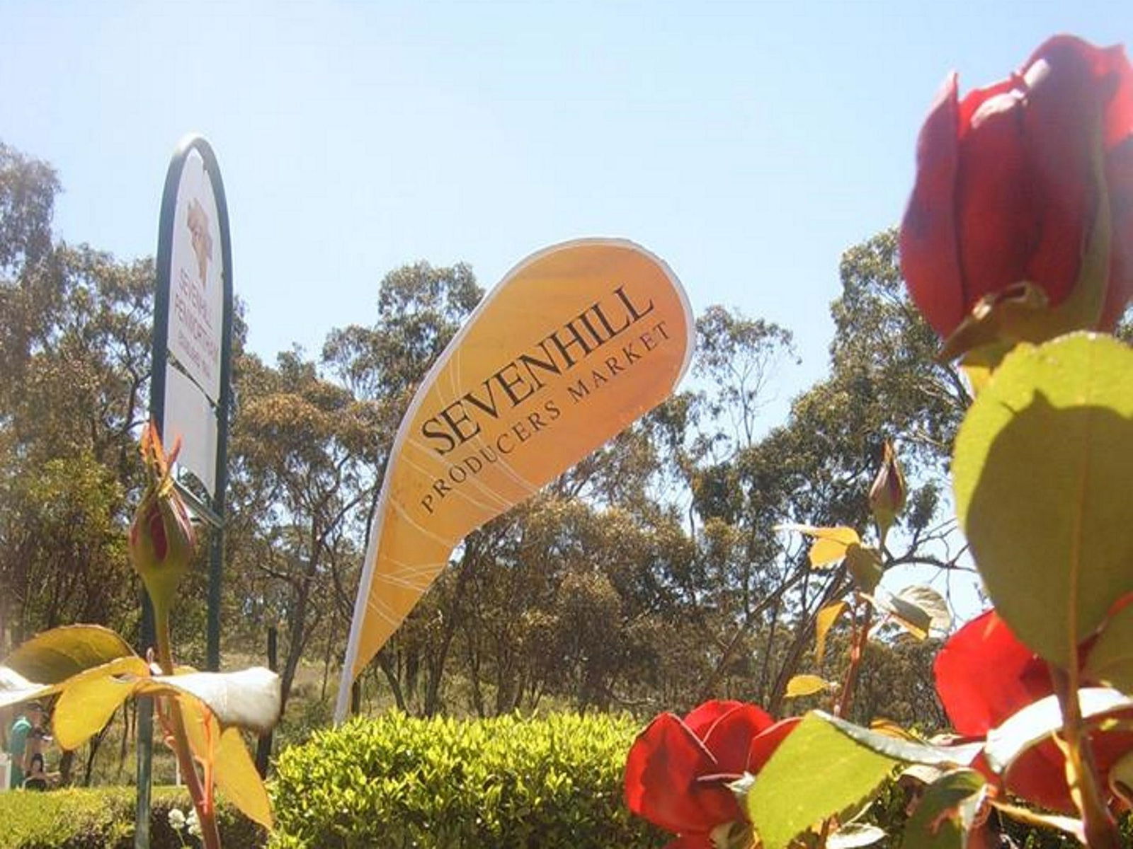 Sevenhill SA Tourism Canberra