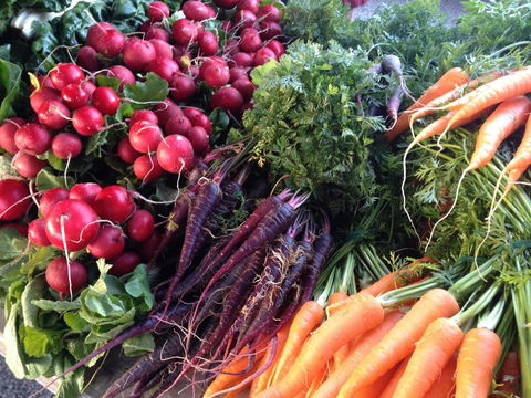 Stirling Farmers Market - Tourism Canberra 1