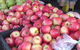Stirling Farmers Market - thumb 2