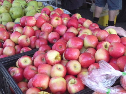 Stirling Farmers Market - Tourism Canberra 2