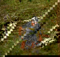 Sunshine Coast MTB Festival