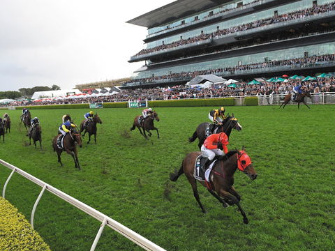 The TAB Everest: The World’s Richest Race On Turf - Tourism Canberra 0