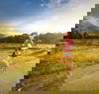 Trail Run Australia  Snowy Mountains - Tourism Canberra
