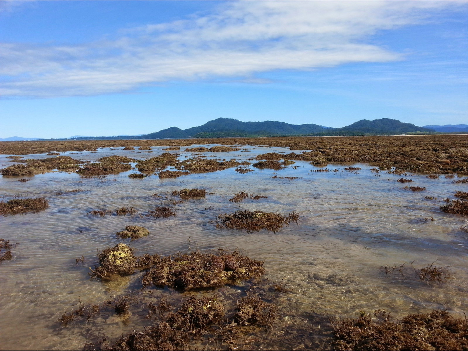 Kurrimine Beach QLD Tourism Canberra