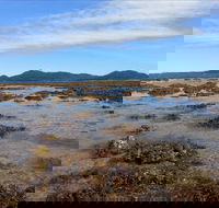 Walk to the Reef - Tourism Canberra