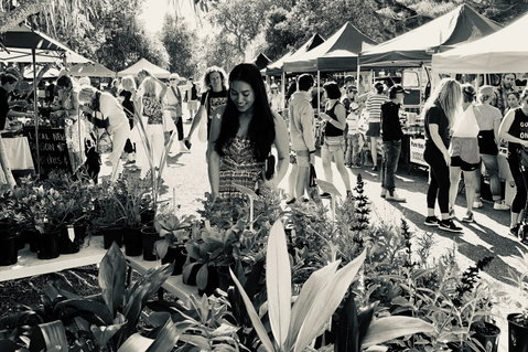 Yamba Farmers And Producers Market - Tourism Canberra 0
