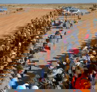 28th Marree Australasian CAMEL CUP 3 July 2021 - Tourism Canberra