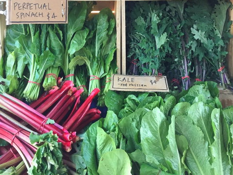 Albury Wodonga Farmers Market - Tourism Canberra 0