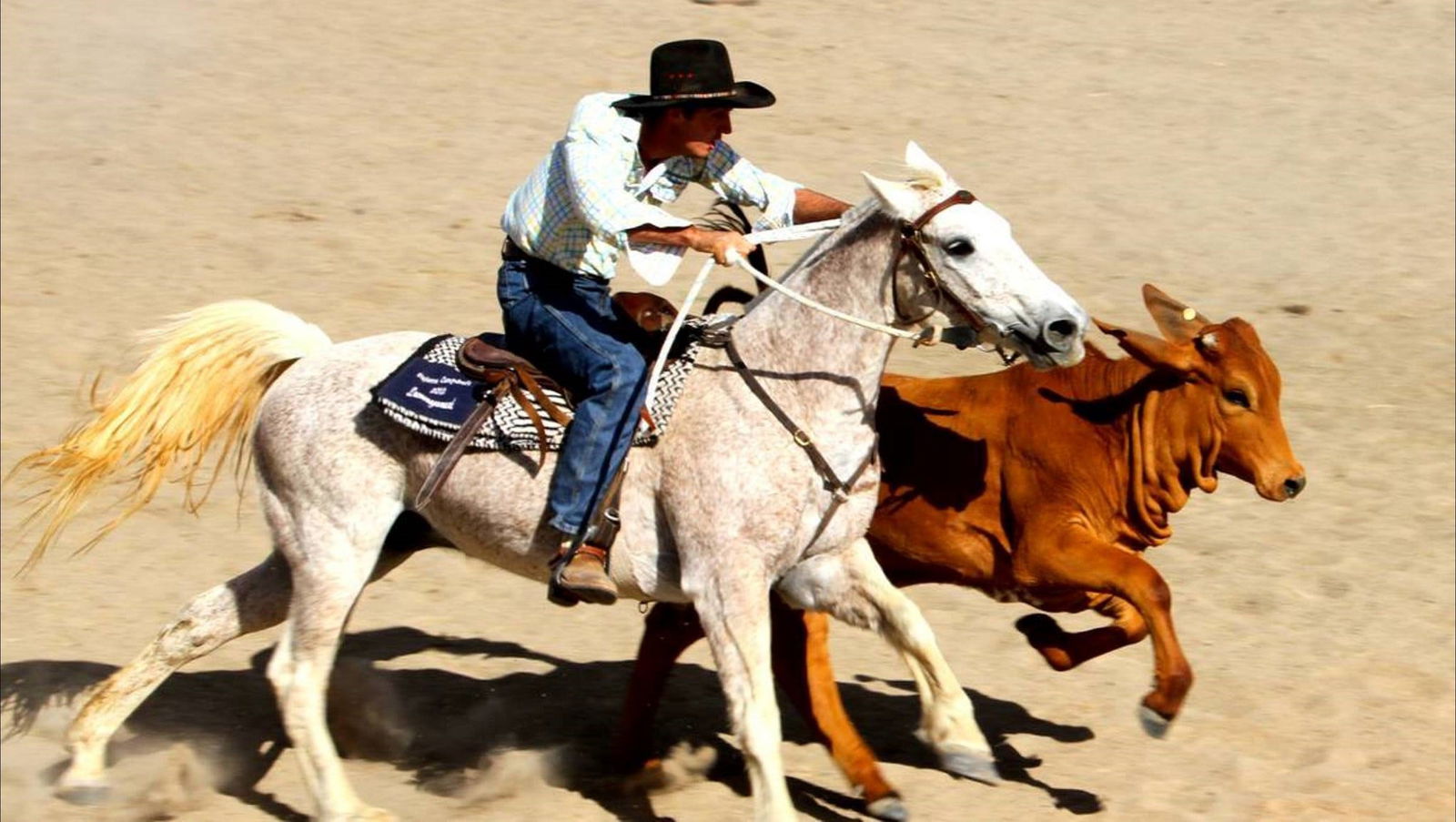 Warenda QLD Tourism Canberra