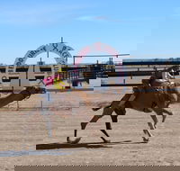 Bedourie Camel and Pig Races and Camp oven Cook-off - Tourism Canberra