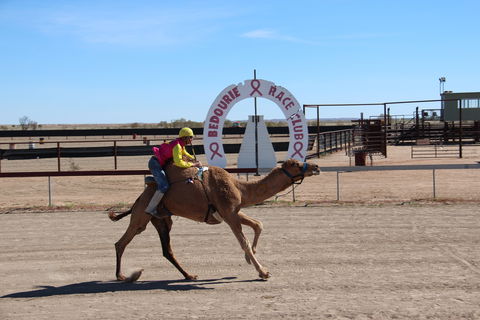 Bedourie Camel And Pig Races And Camp Oven Cook-off - Tourism Canberra 0