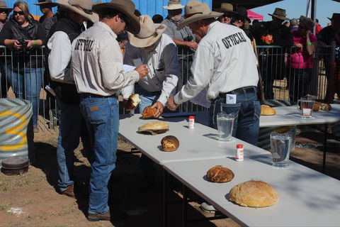 Bedourie Camel And Pig Races And Camp Oven Cook-off - Tourism Canberra 2