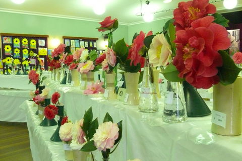 Blackheath Flower And Craft Show - Tourism Canberra 1