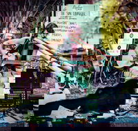 Buskers by the Lake - Tourism Canberra