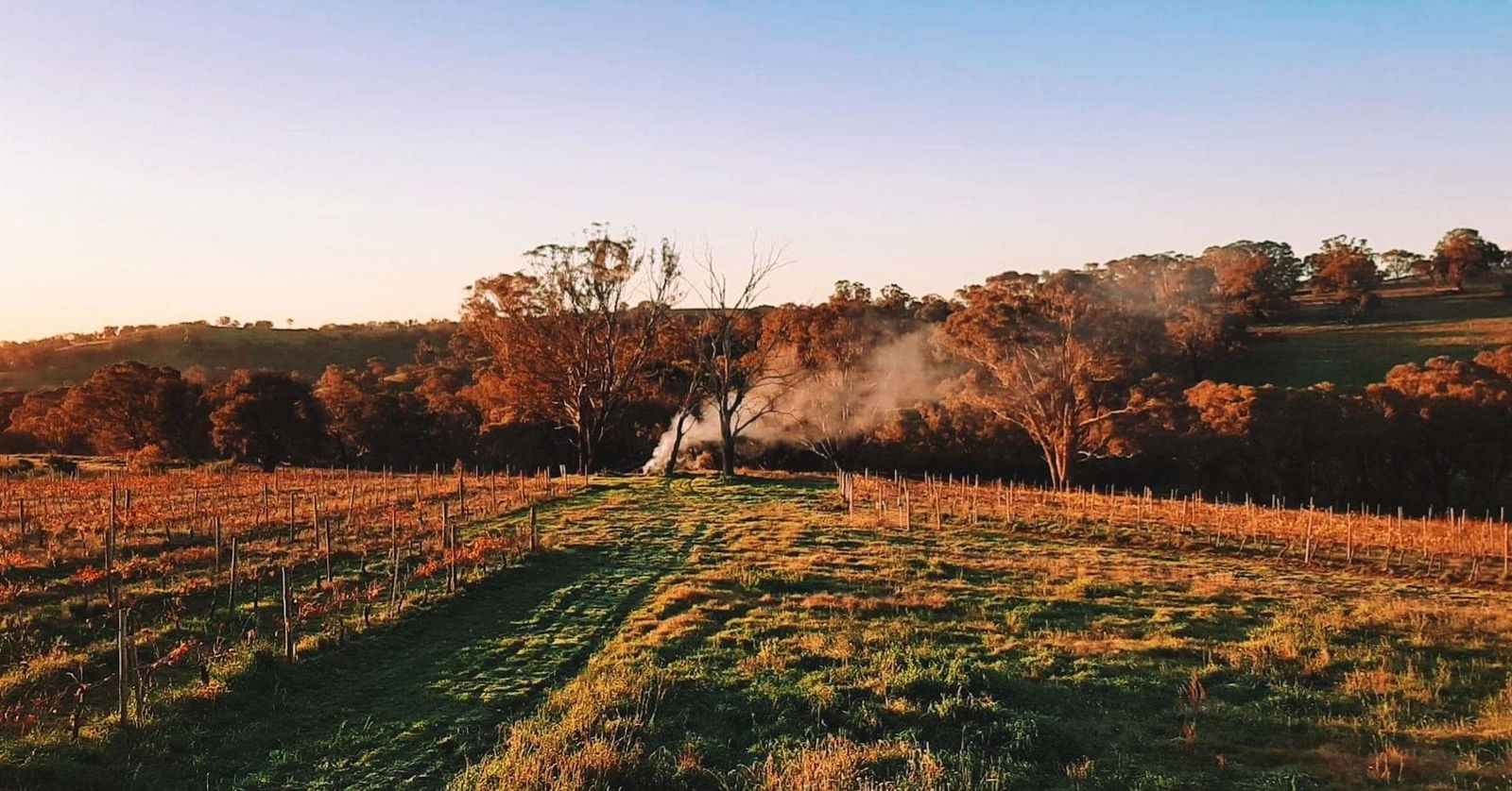 Lidster NSW Tourism Canberra