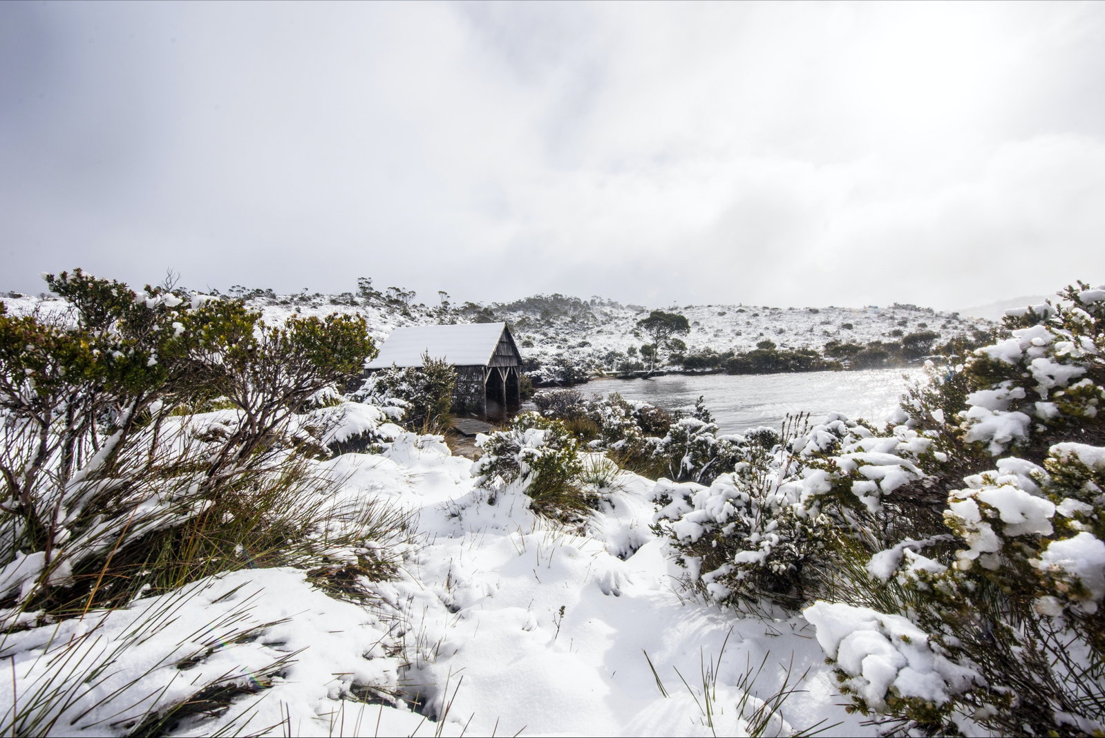 Cradle Mountain TAS Tourism Canberra