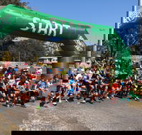 Coffs Harbour Running Festival - Tourism Canberra