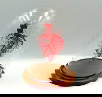 Corrosion Casting - Tourism Canberra